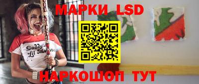 apvp Краснодар