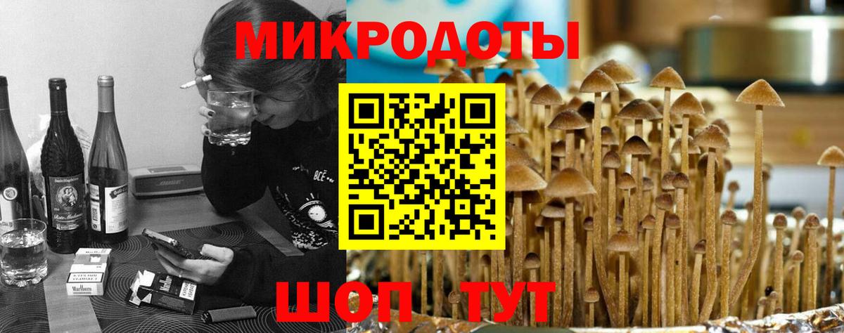 Псилоцибиновые грибы мухоморы Тула