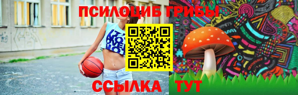 Галлюциногенные грибы Cubensis  Вход с VPN  как найти закладки  Тула 